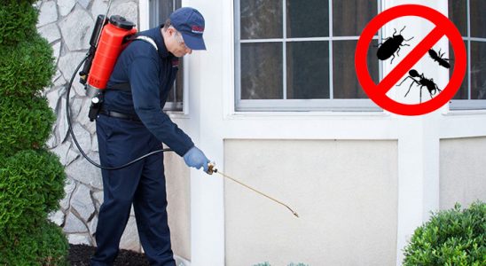 Yalova Haşere İlaçlama böcek ilaçlama ve haşere kontrolü — ilaclama-tr.com